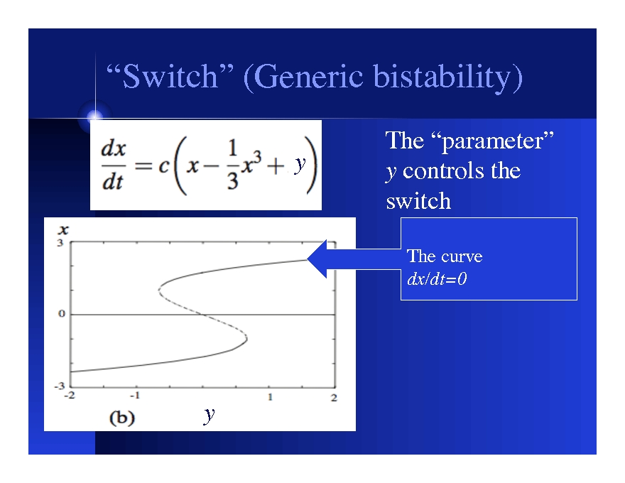 Switches, Oscillators (and the Cell Cycle)