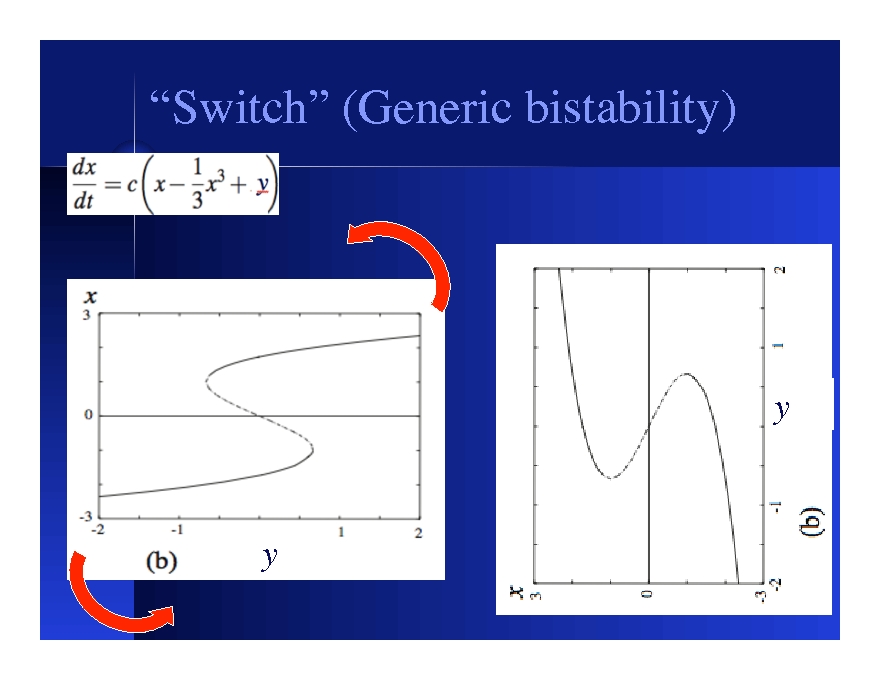 Switches, Oscillators (and the Cell Cycle)